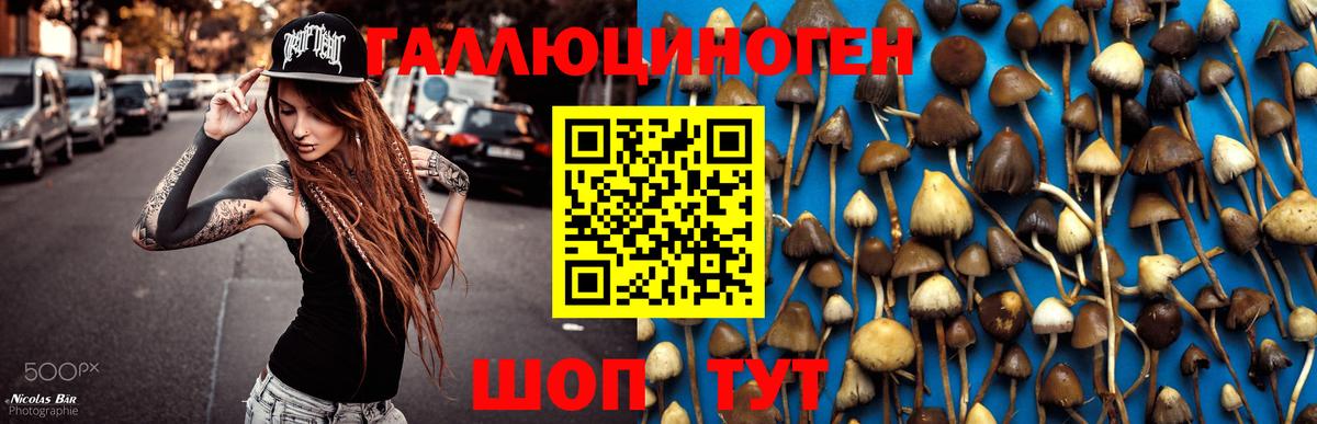 Галлюциногенные грибы Psilocybe  Псилоцибиновые грибы Cubensis  Севастополь  Вход с VPN 